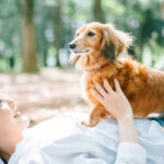 5月13日は愛犬の日!最強に可愛い犬種ランキングが面白い結果に!?