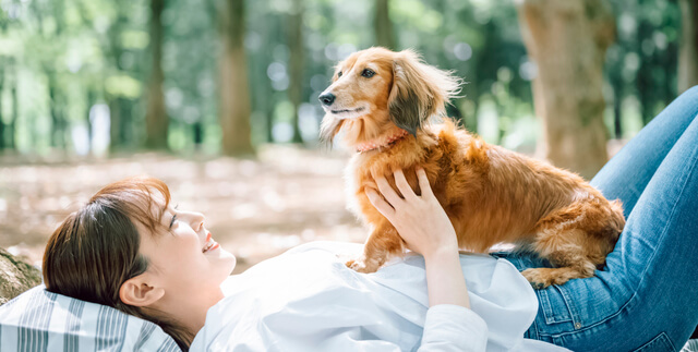 5月13日は愛犬の日!最強に可愛い犬種ランキングが面白い結果に!?