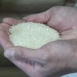 【速報】古古古米の魅力と購入方法！1000トンの壁に挑む！