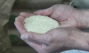 【速報】古古古米の魅力と購入方法!1000トンの壁に挑む!