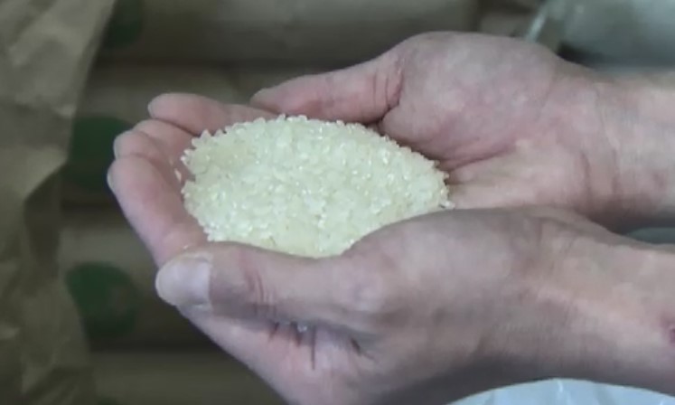 【速報】古古古米の魅力と購入方法!1000トンの壁に挑む!
